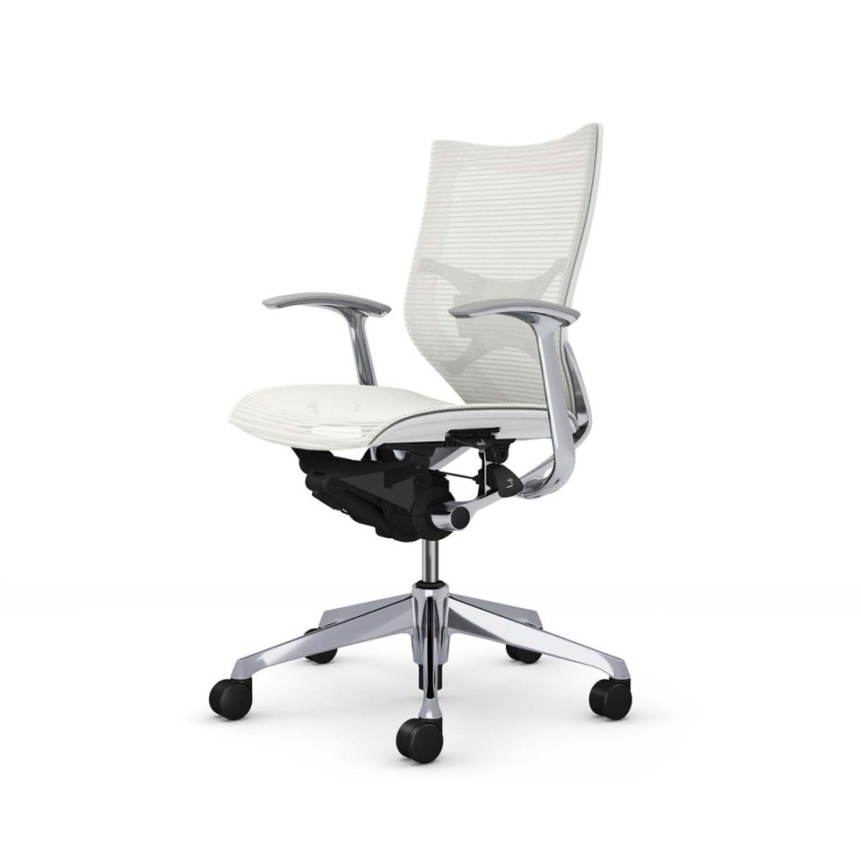 IJ ItBX`FA @gsv o X^_[hbV^Cv [obN |bVt[ {fB(zCg) (bV) fUCA[t o[T|[gt CP43HZ-FPG2