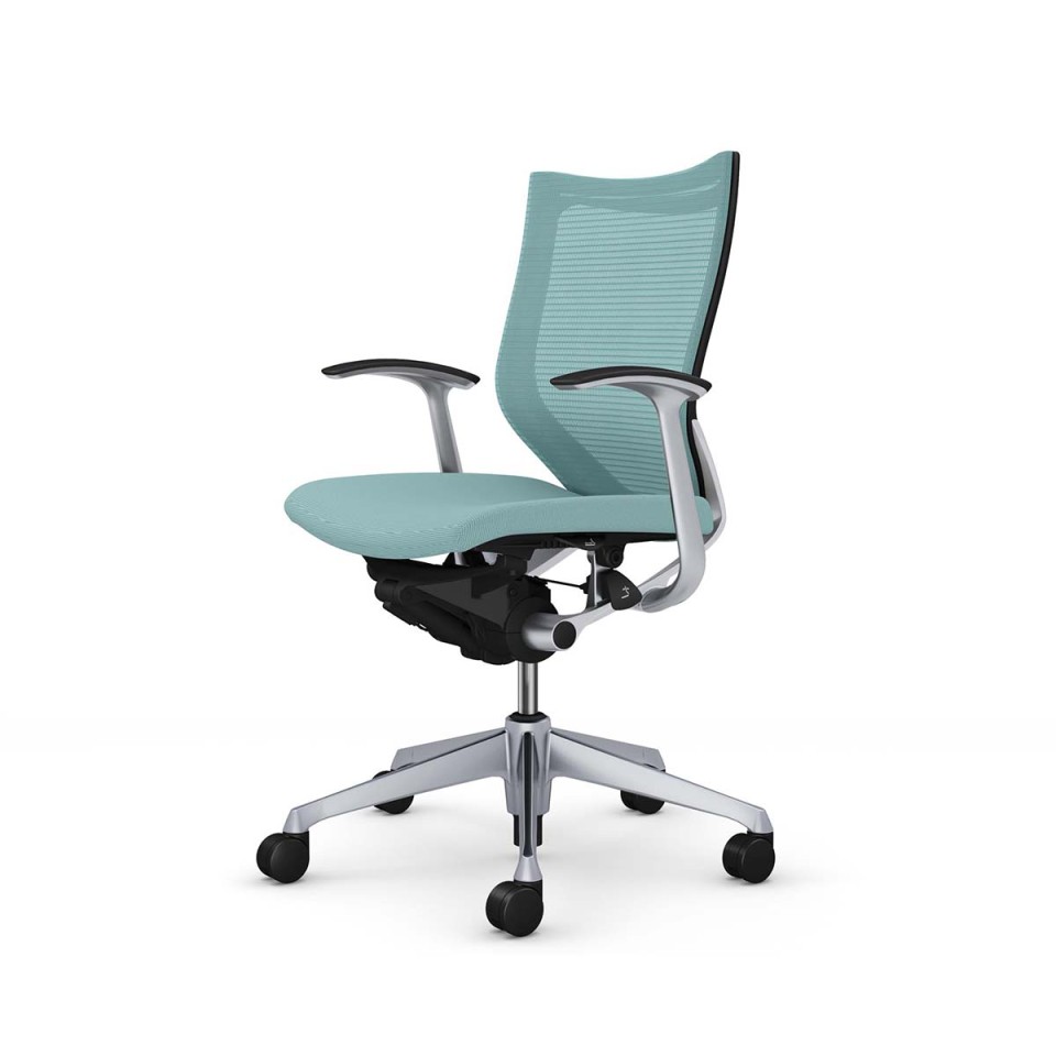 IJ ItBX`FA @gsv o X^_[hbV^Cv [obN Vo[t[ {fB(ubN) (NbV) fUCA[t CP43NR-FPC6