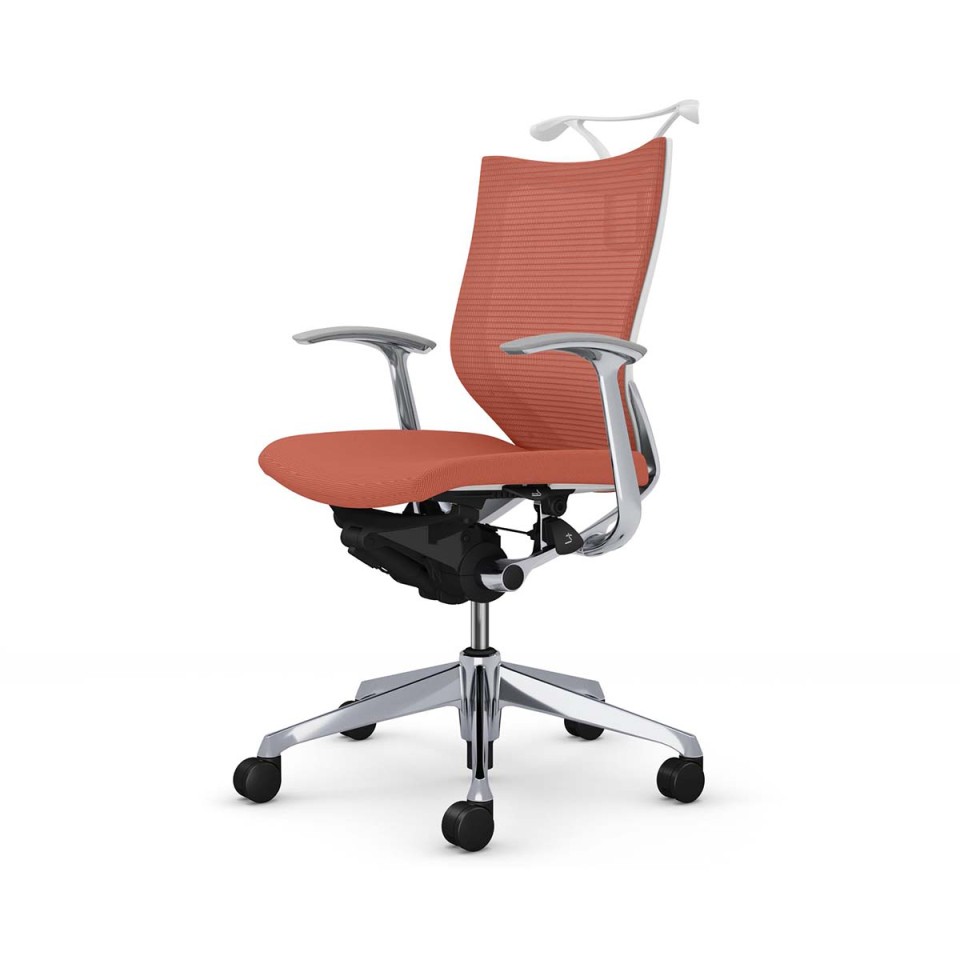 IJ ItBX`FA @gsv o X^_[hbV^Cv [obN |bVt[ {fB(zCg) (NbV) fUCA[t nK[t CP44BW-FPD8