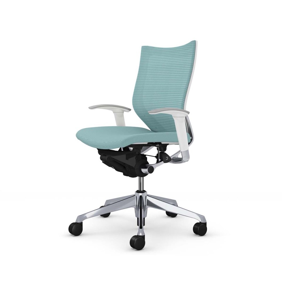 IJ ItBX`FA @gsv o X^_[hbV^Cv [obN |bVt[ {fB(zCg) (NbV) AWXgA[t CP83BW-FPC6