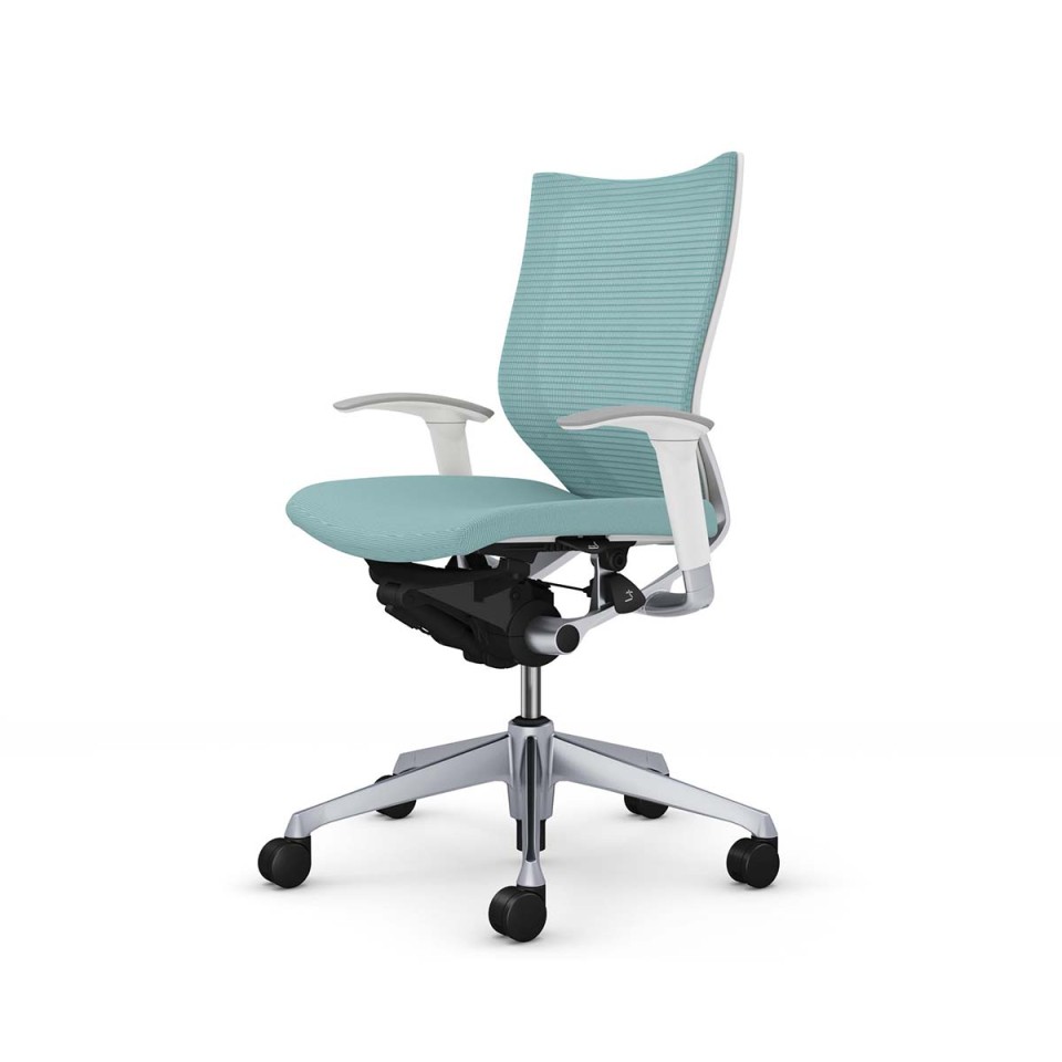 IJ ItBX`FA @gsv o X^_[hbV^Cv [obN Vo[t[ {fB(zCg) (NbV) AWXgA[t CP83DW-FPC6