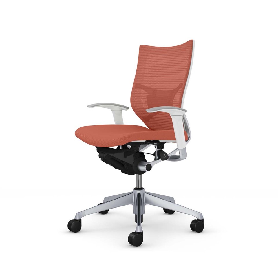 IJ ItBX`FA @gsv o X^_[hbV^Cv [obN Vo[t[ {fB(zCg) (NbV) AWXgA[t o[T|[gt CP83DZ-FPD8