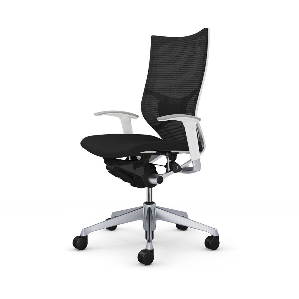 IJ ItBX`FA @gsv o X^_[hbV^Cv nCobN Vo[t[ {fB(zCg) (NbV) AWXgA[t o[T|[gt CP85DZ-FPC1