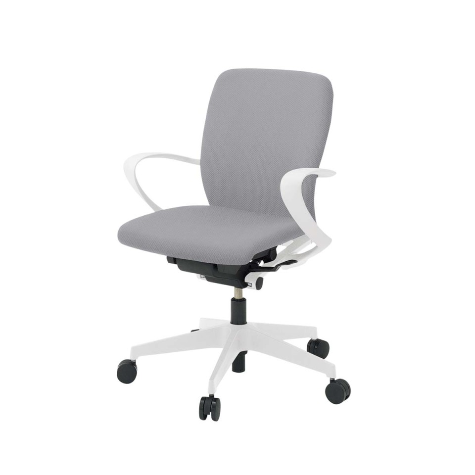 Cg[L ItBX`FA @gsv tS`FA [obN x[XJ[WW [vI nK[Ȃ RECXzn(PV) iCLX^[ KF-446PV-WWW6