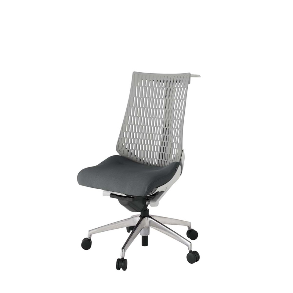 イトーキ オフィスチェア 完成日 組立不要 アクトツー エラストマーバック プレーン張地 アルミミラー脚 ナイロン双輪キャスター ペルヴィス&ランバーサポートなし ハンガー付 肘なし KJ440PSHZNC3T6