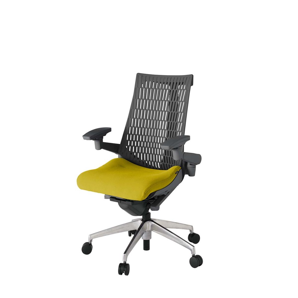 イトーキ オフィスチェア 完成日 組立不要 アクトツー エラストマーバック プレーン張地 アルミミラー脚 抵抗付ウレタン双輪キャスター ペルヴィス&ランバーサポートなし ハンガーなし アジャスタブル肘 KJ447PS-MZDU5W2