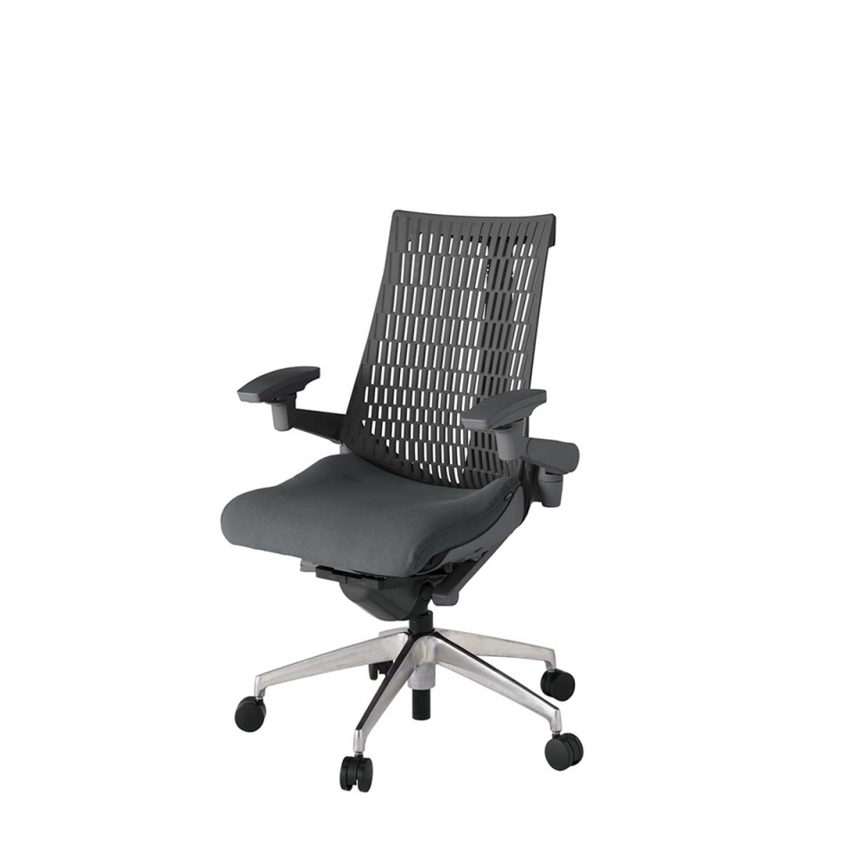 イトーキ オフィスチェア 完成日 組立不要 アクトツー エラストマーバック プレーン張地 アルミミラー脚 ナイロン双輪キャスター ペルヴィス&ランバーサポートなし ハンガーなし アジャスタブル肘 KJ447PS-ZDC3W2