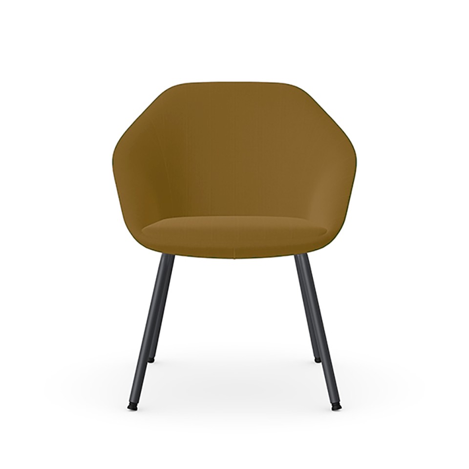 Senator ?~?[?e?B???O?`?F?A?E????I?`?F?A ???????@?g???s?v ?t?@?~???A ???[?o?b?N?`?F?A?@4?{?r FMG1102-Percentage-AK016