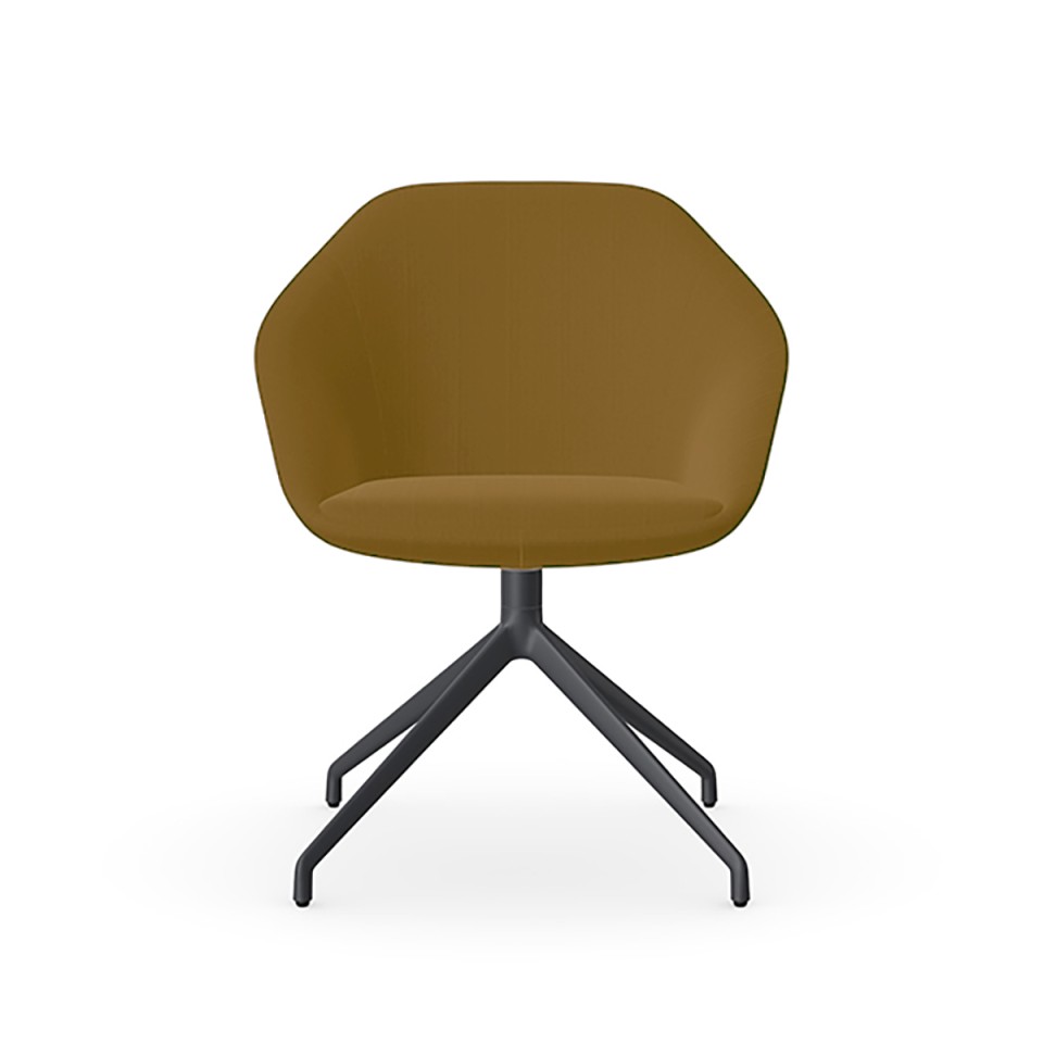 Senator ?~?[?e?B???O?`?F?A?E????I?`?F?A ???????@?g???s?v ?t?@?~???A ???[?o?b?N?`?F?A?@4?{?r?@?O???C?h?r FMG1105-Percentage-AK016