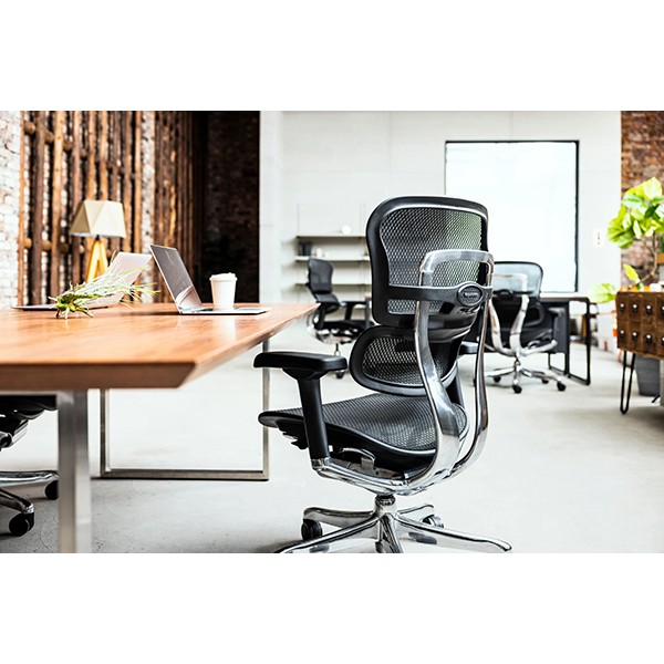 EHP2-LAM-DR-BF-BK【送料無料】 | エルゴヒューマン Ergohuman PRO2