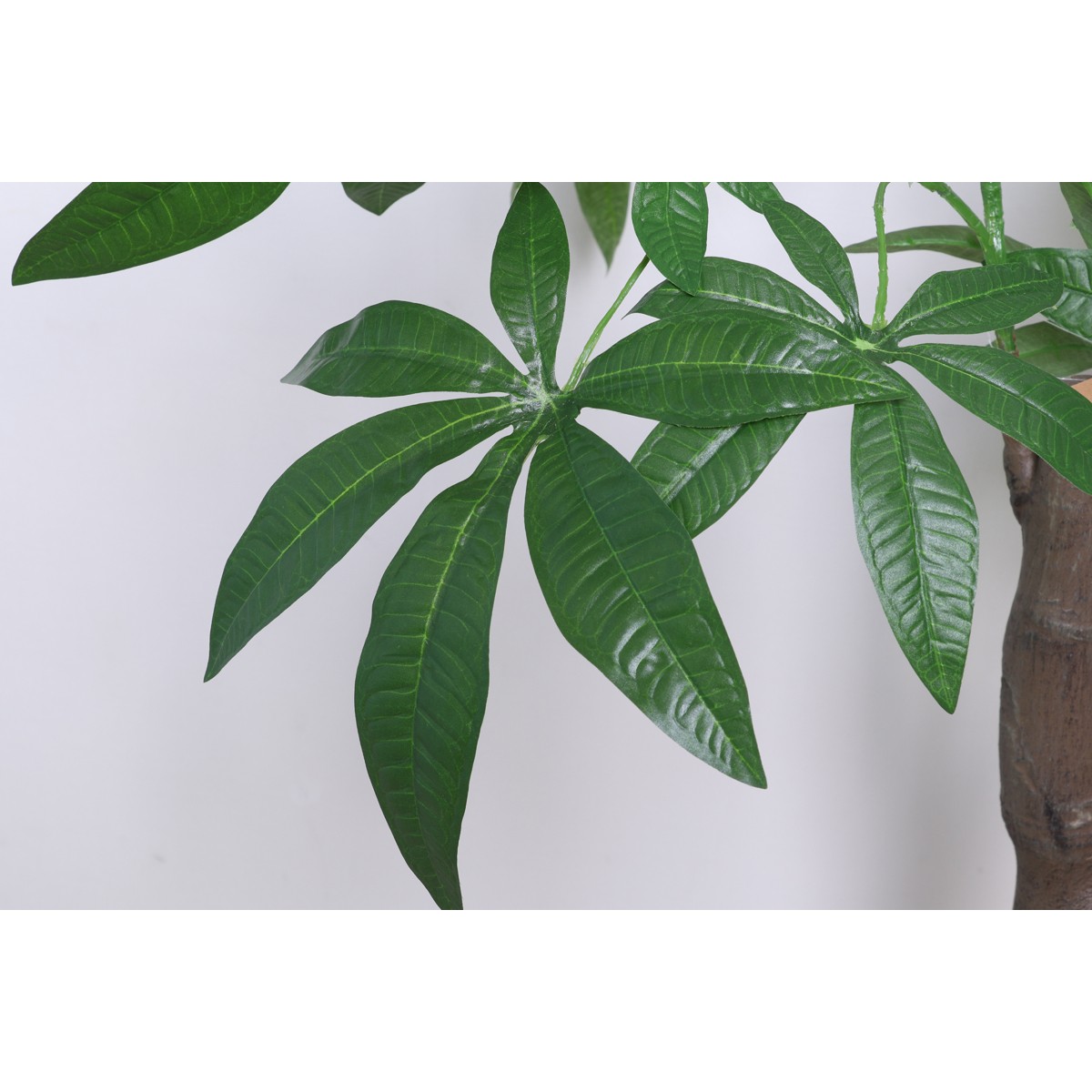 13498 52665【送料無料】 | 不二貿易 観葉植物通販 - Kagg.jp