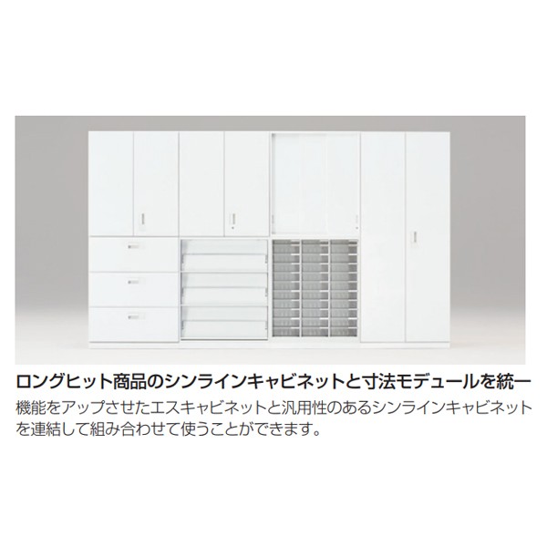 【vani】キャビネット H1-M1090RVS1-W9【送料無料】 | イトーキ eSキャビネット通販 - Kagg.jp