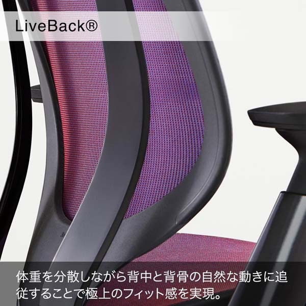 BLACK DESIGN かりん サンド カリン ブラックデザイン　チェア 新品未開封 BLACK DESIGN かりん ブラック 墨黒 カリン ブラック