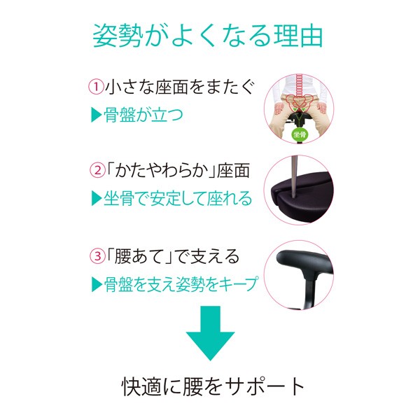 30112【送料無料】 | アーユル・チェアー メディカルシート通販 - Kagg.jp