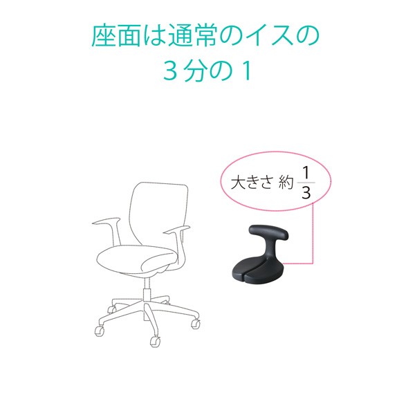 30112【送料無料】 | アーユル・チェアー メディカルシート通販 - Kagg.jp
