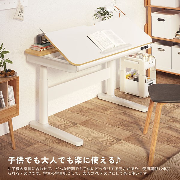 SD8W-JA【送料無料】 | FlexiSpot SD8通販 - Kagg.jp