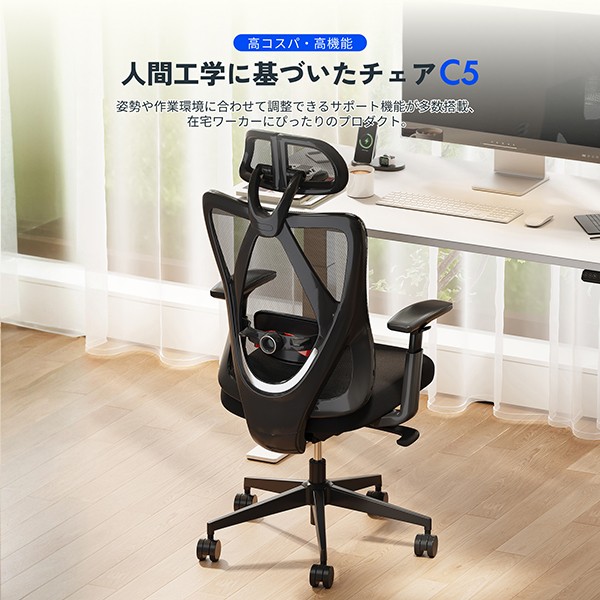 ⑤椅子 C5-ブラック【送料無料】 | FlexiSpot C5通販 - Kagg.jp