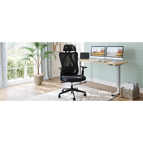 C5-ブラック【送料無料】 | FlexiSpot C5通販 - Kagg.jp