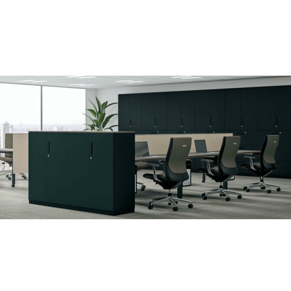 システム収納　エディア　ロッカー 品番 BWU-RN4DM69E6A　全国配送可 ロールスクリーン タチカワ ブラインド ラルク ダブル プルコード