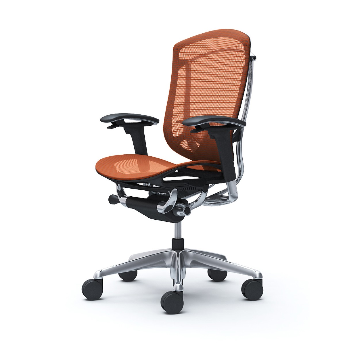 Contessa II(�R���e�b�T �Z�R���_) CC81BS-FPH8 [�I�����W���b�h]