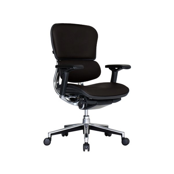 EH-LAL-BK 245143【送料無料】 | エルゴヒューマン Ergohuman Basic 
