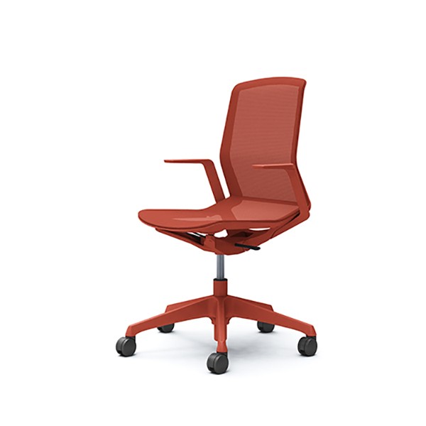 中古 根強い S(美品)】CYNARA(シナーラ)CD77GK-F2X5 