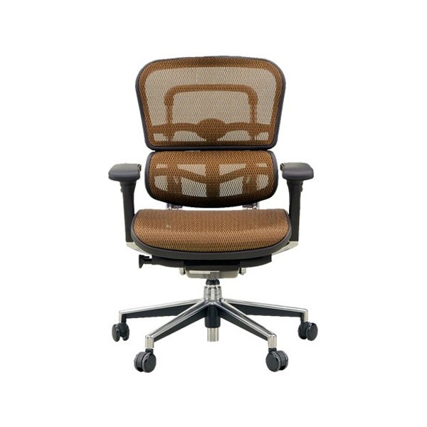 エルゴヒューマンベーシック 直接引き取り