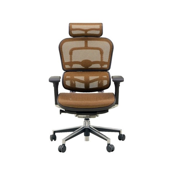 美品】エルゴヒューマン ベーシック ヘッドレスト付 （美品