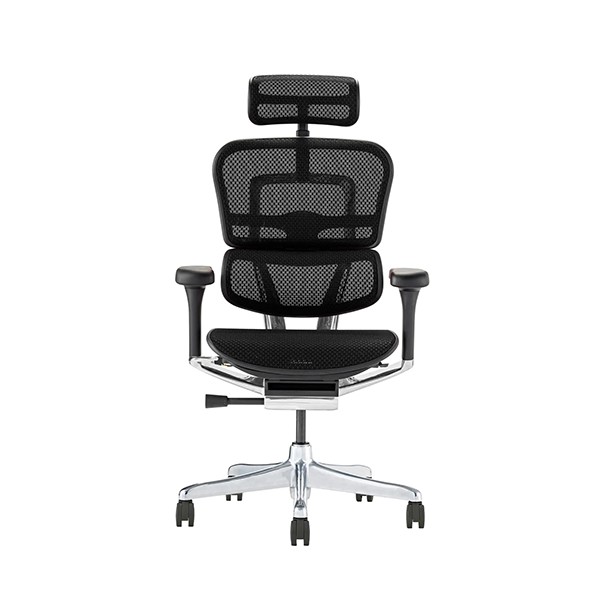 EHP2-HAM-BK(BKframe)【送料無料】 | エルゴヒューマン Ergohuman PRO2  