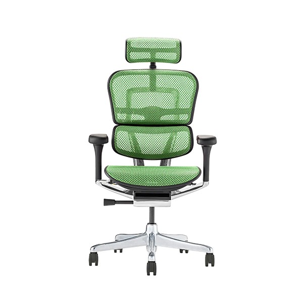 エルゴヒューマン プロ2 Ergohuman Pro2 EHP2-LPL エルゴヒューマン 2025年新型 レビュー特典あり プロ2 Ergohuman