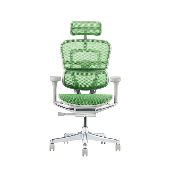 Ergohuman PRO2 EHP2-HAM-GF-GN [�O���[��]