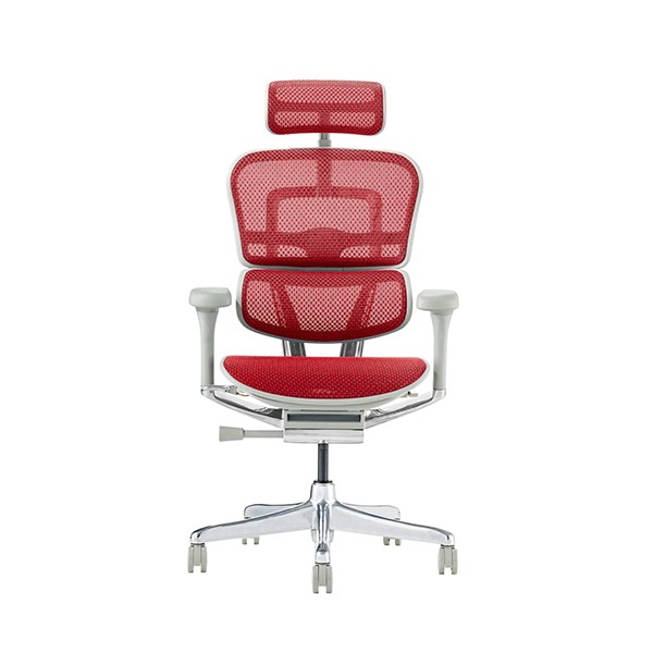 Ergohuman PRO2 EHP2-HAM-GF-RD [���b�h]