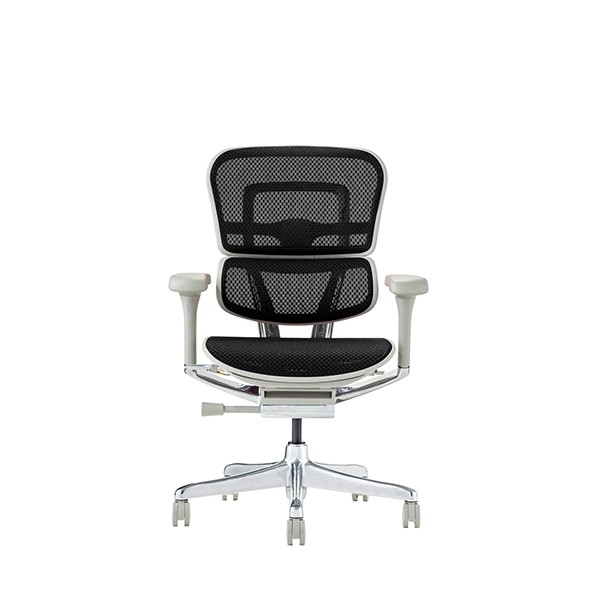 Ergohuman PRO2 EHP2-LAM-GF-BK [�u���b�N]