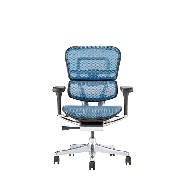 Ergohuman PRO2 EHP2-LAM-BF-BL [�u���[]