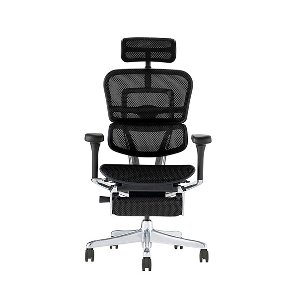 EHP2-LPL-BK(BKframe)【送料無料】 | エルゴヒューマン  