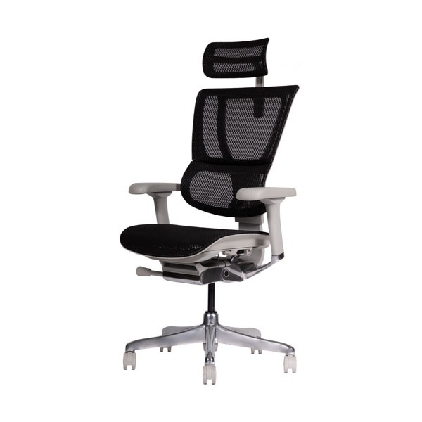 FIT2-HAM-DR-GF-BK【送料無料】 | エルゴヒューマン Ergohuman Fit2 