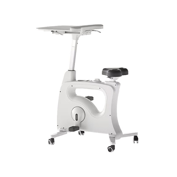 FlexiSpot フレキシスポット バイクチェア V9U 519 | Flexispot