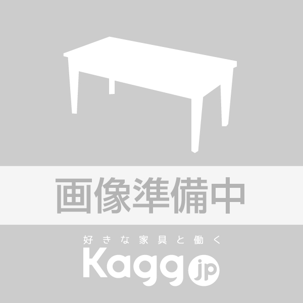 carotear 2nd(カロティア 2nd)シリーズ CO-M211-WNS
