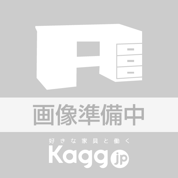 PROSTAGE CREST Manager Desk(プロステージクレストマネージャーデスク)シリーズ DT1MXY-MK