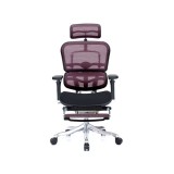 【オフィスチェア】エルゴヒューマン　プロ　オットマン(ergohuman PRO OTTOMAN EHP-CPL KM-11) エルゴヒューマン プロ オットマン Ergohuman ハイスペックチェア 収納