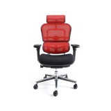 EH-HBM-KMD34【送料無料】 | エルゴヒューマン Ergohuman Basic通販