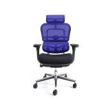 EH-HBM-KMD35【送料無料】 | エルゴヒューマン Ergohuman Basic通販