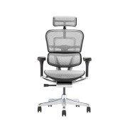 EHP2-HAM-DR-BF-WH【送料無料】 | エルゴヒューマン Ergohuman PRO2